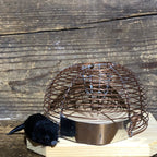 Nasse à souris