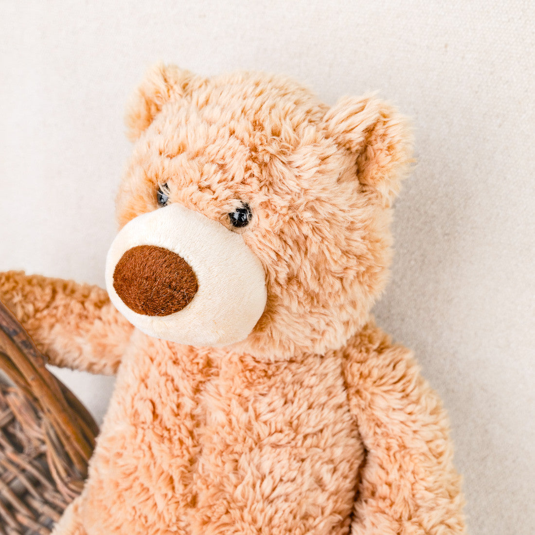 Ourson beige peluche Teddy
