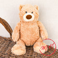 Ours peluche Teddy