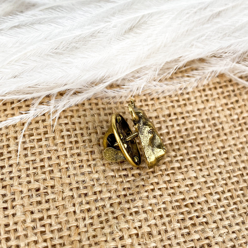 Pins Taureau