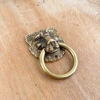 Poignée de meuble tête de lion en bronze