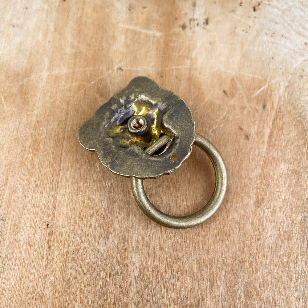 Poignée de meuble tête de lion en bronze