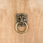Poignée de meuble tête de lion en bronze