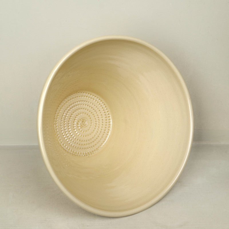 Provençal garlic gratin salad bowl