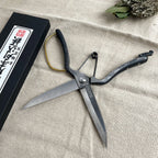 Sécateur à buis japonais