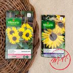 Semence de Tournesol