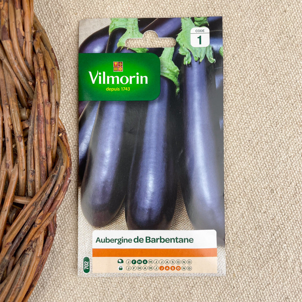 graines aubergine de barbentane