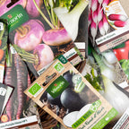 semences de légumes