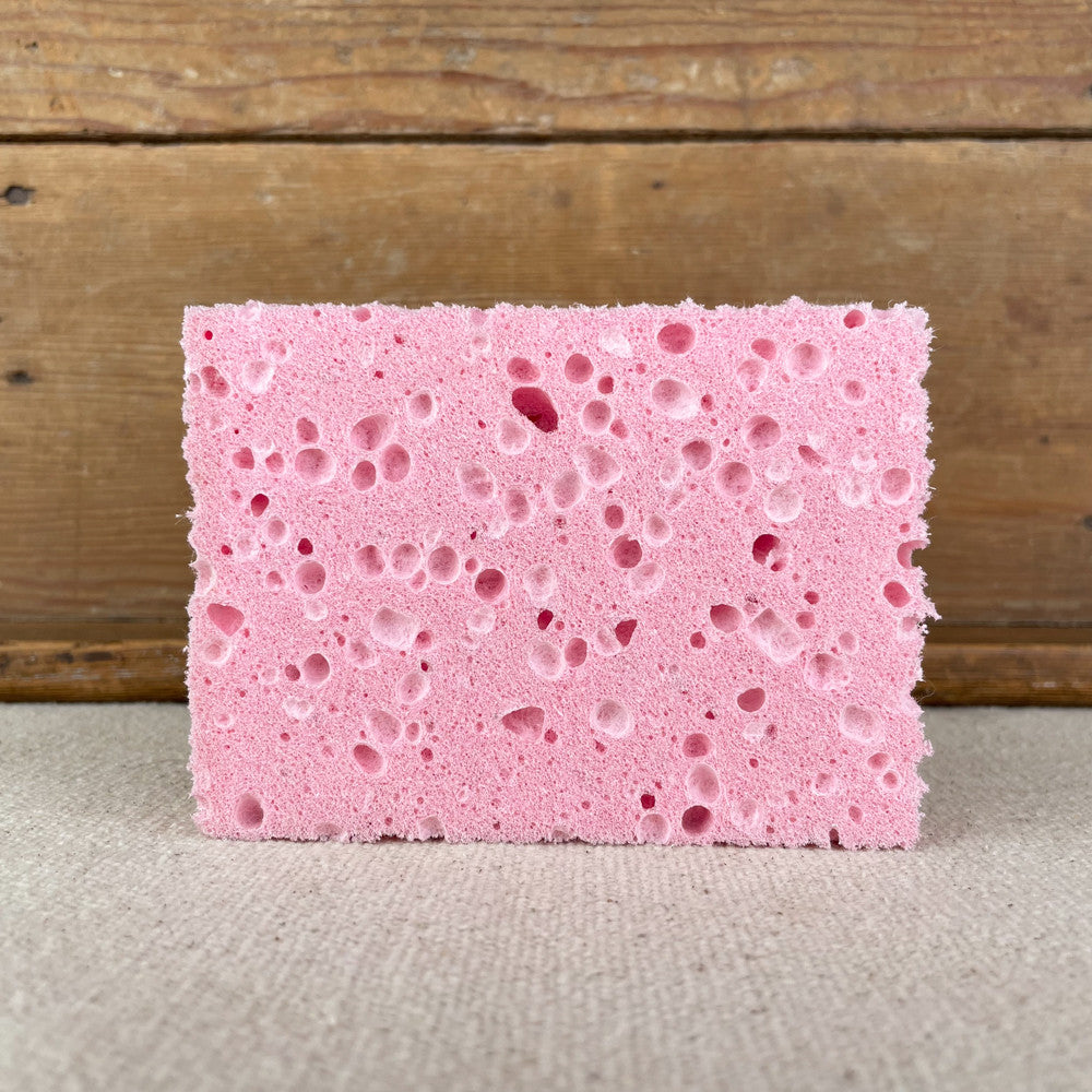 Tampon éponge végétale