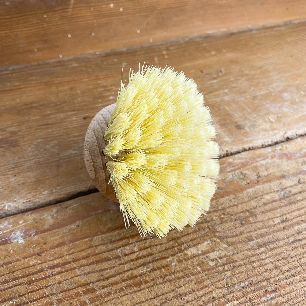 Tête de brosse à vaisselle naturelle