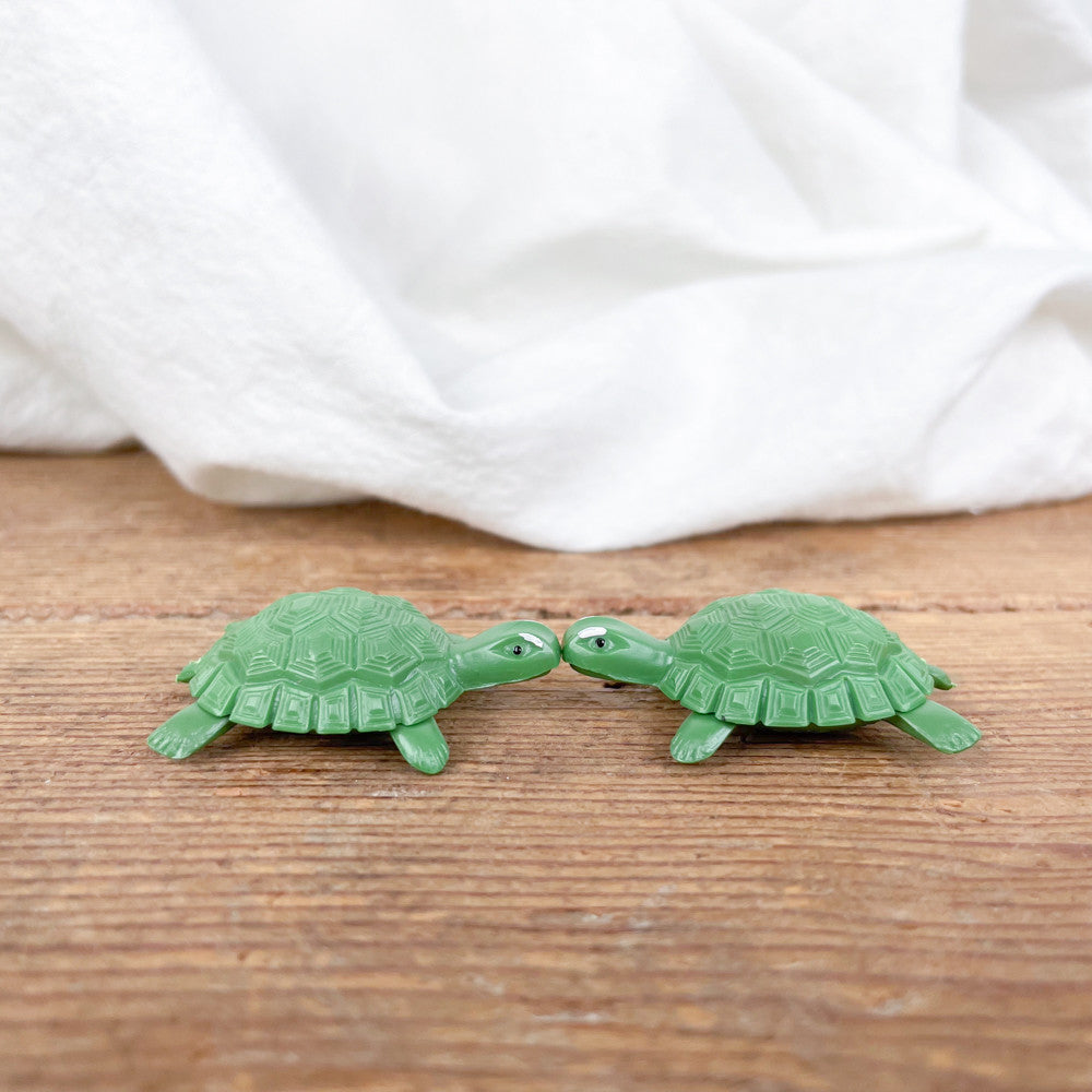 Tortues amoureuses magnétiques