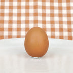 Véritable œuf en chocolat dans sa coquille