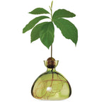 Vase à avocat