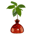 Vase à avocat
