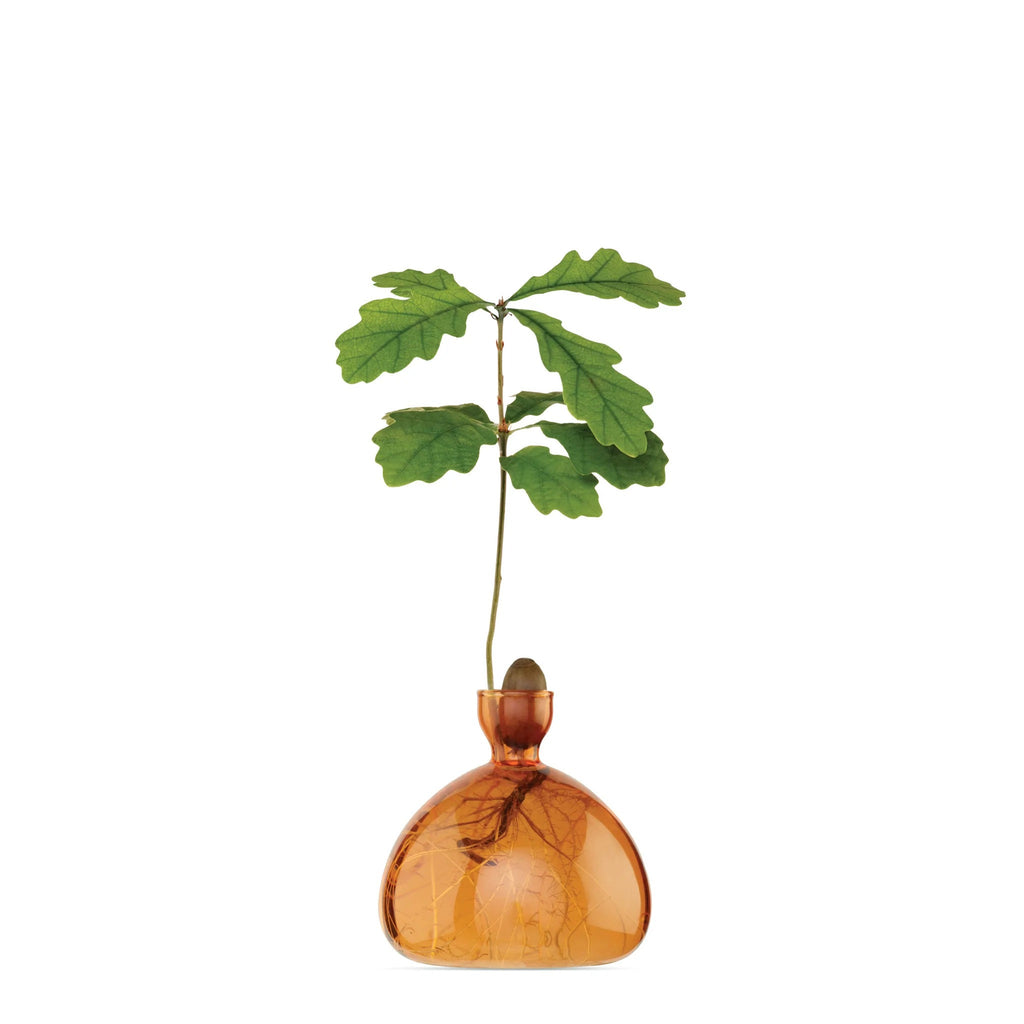 Vase à gland