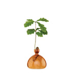 Vase à gland