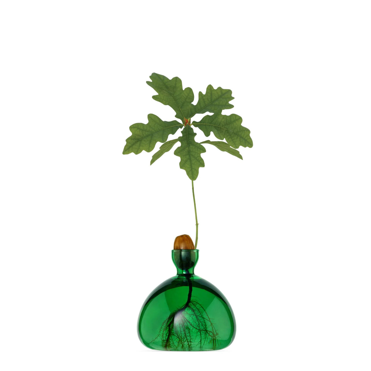 Vase à gland