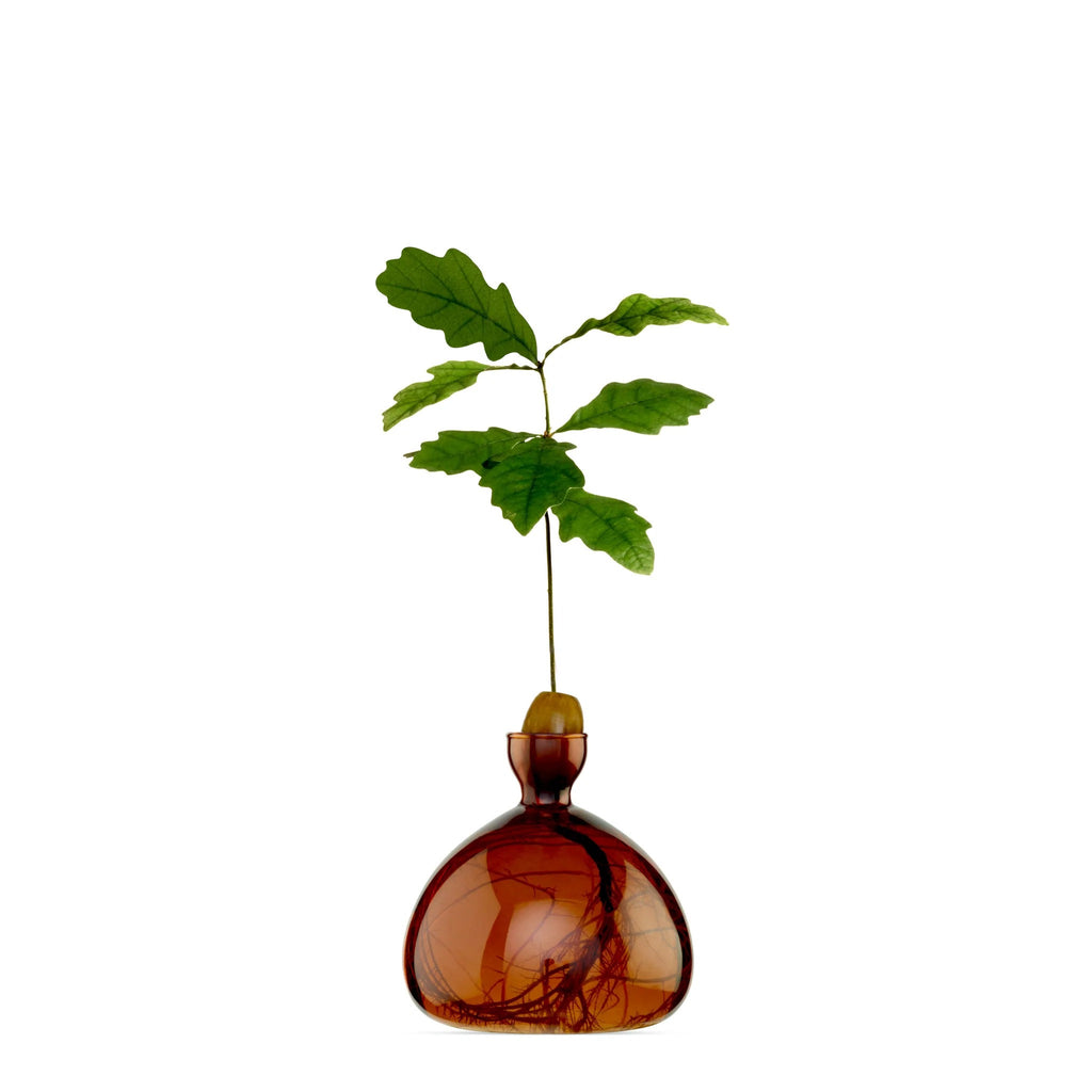 Vase à gland