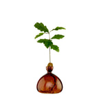 Vase à gland
