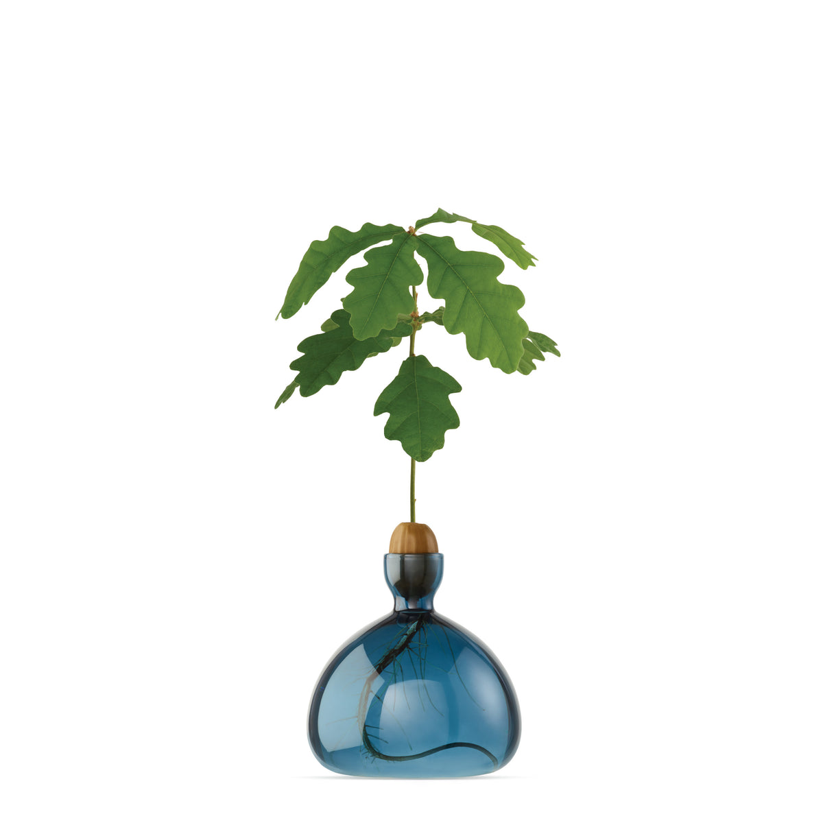 Vase à gland